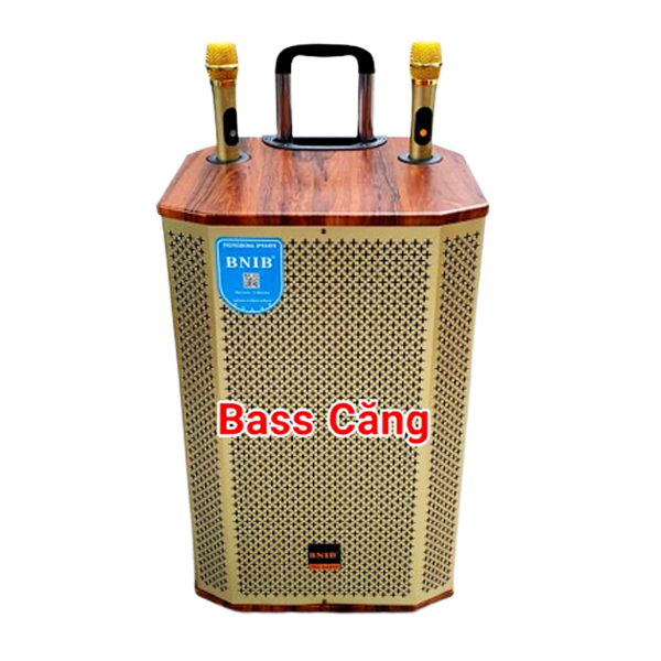 https://banoka.vn/Loa Kéo BNIB 1206A Bass 30 Nhập Khẩu